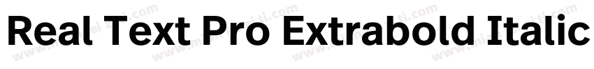 Real Text Pro Extrabold Italic字体转换